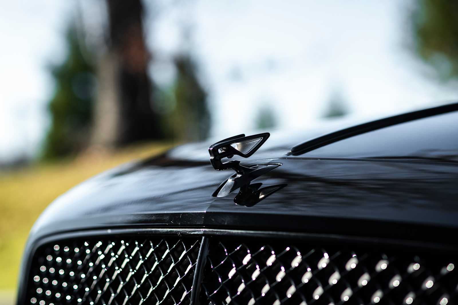 used 2024 Bentley Flying Spur car