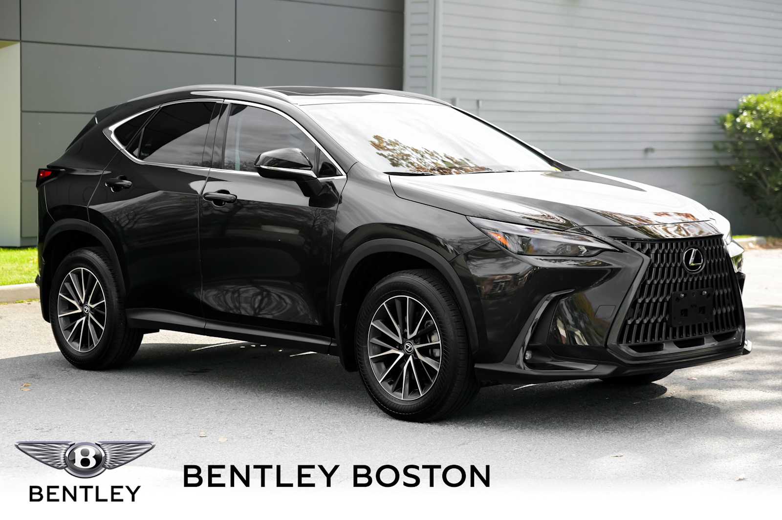 2025 Lexus NX