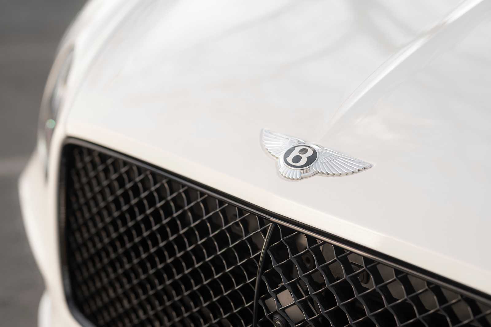 used 2024 Bentley Continental GT car