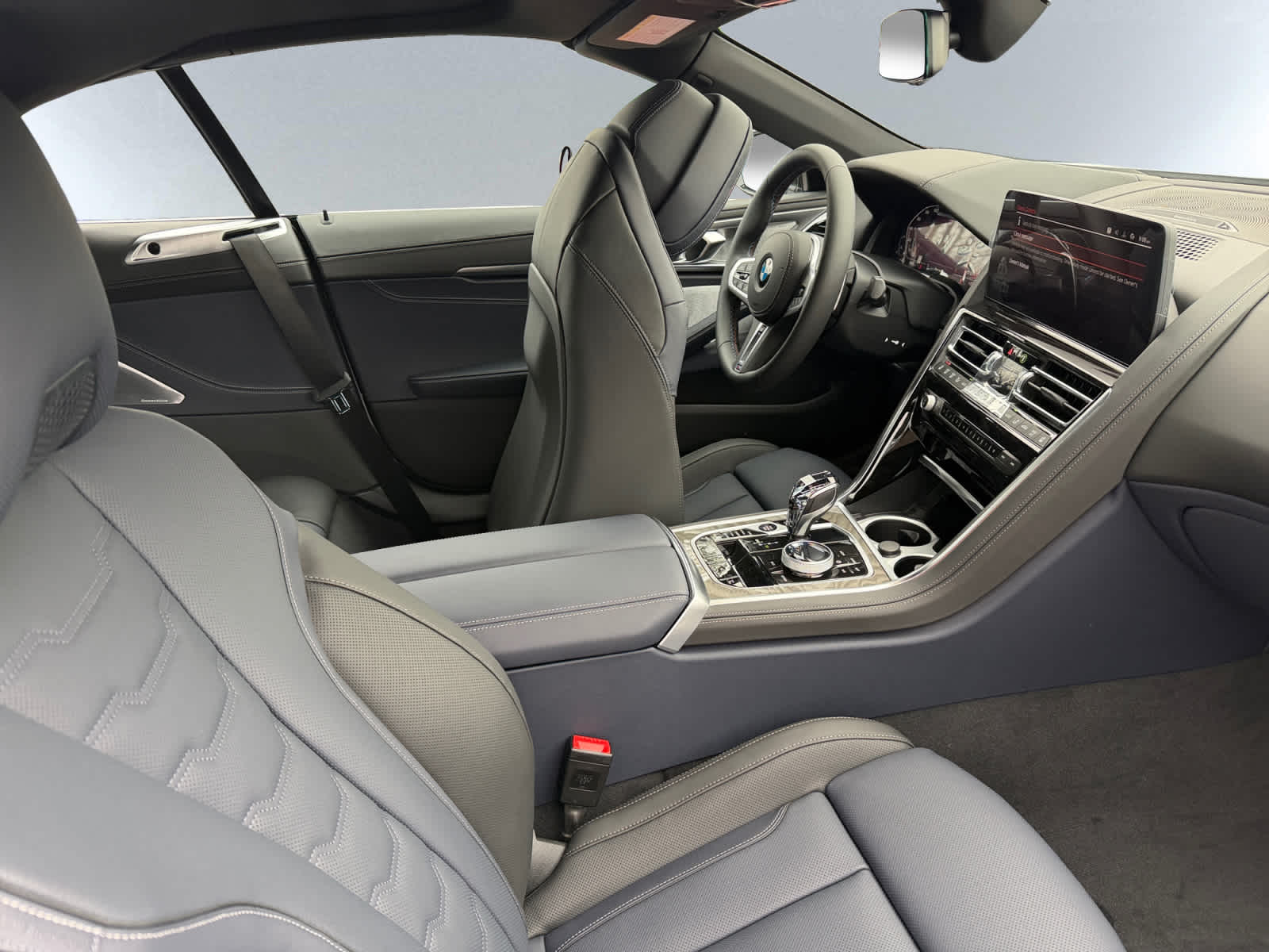 2026 BMW 8 Series M850i - Photo 9