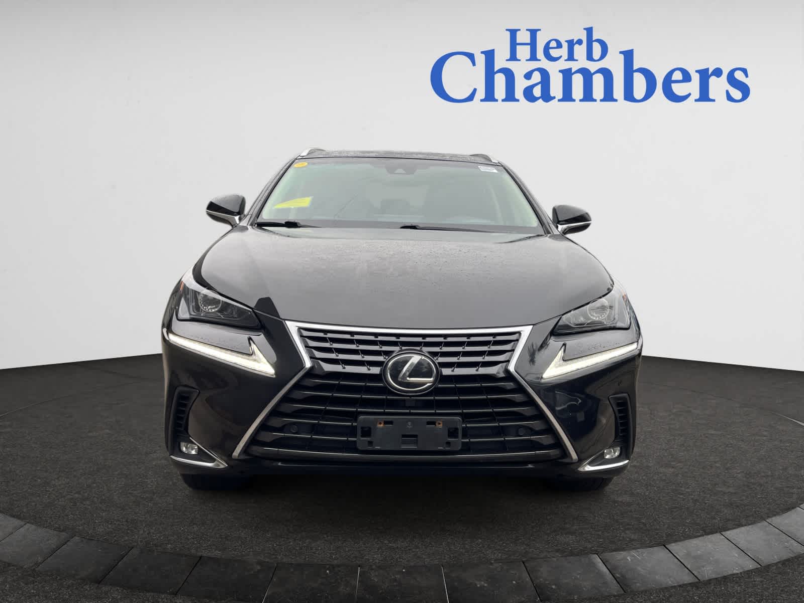 2019 Lexus NX 300 Luxury photo 2