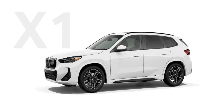 BMW%20X1.jpg