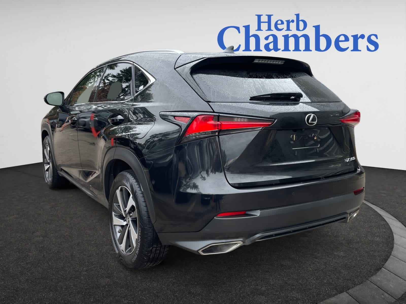 2019 Lexus NX 300 Luxury photo 4