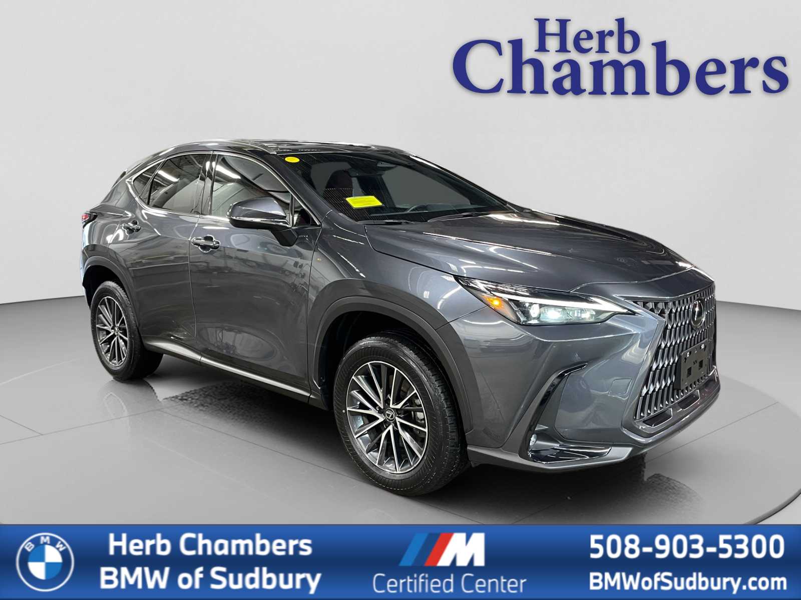 2024 Lexus NX 350h 350h AWD's photo