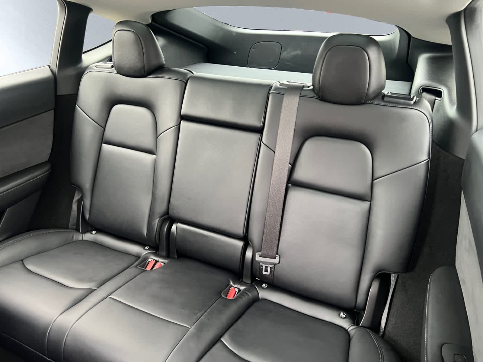 used 2023 Tesla Model Y car, priced at $31,497