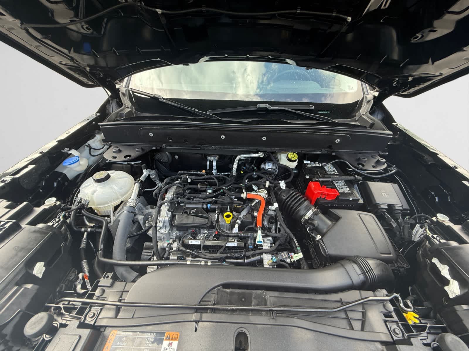 used 2023 Ford Bronco Sport car, priced at $27,482