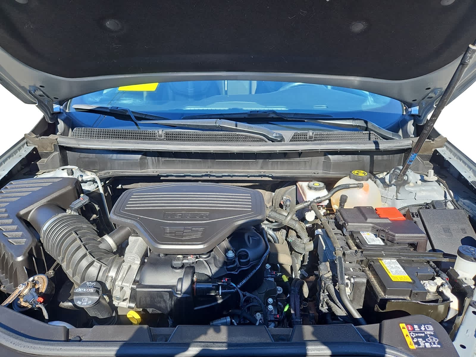 used 2023 Cadillac XT5 car, priced at $31,987