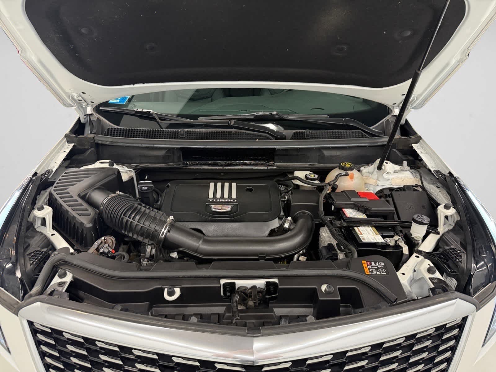 used 2023 Cadillac XT5 car, priced at $30,187