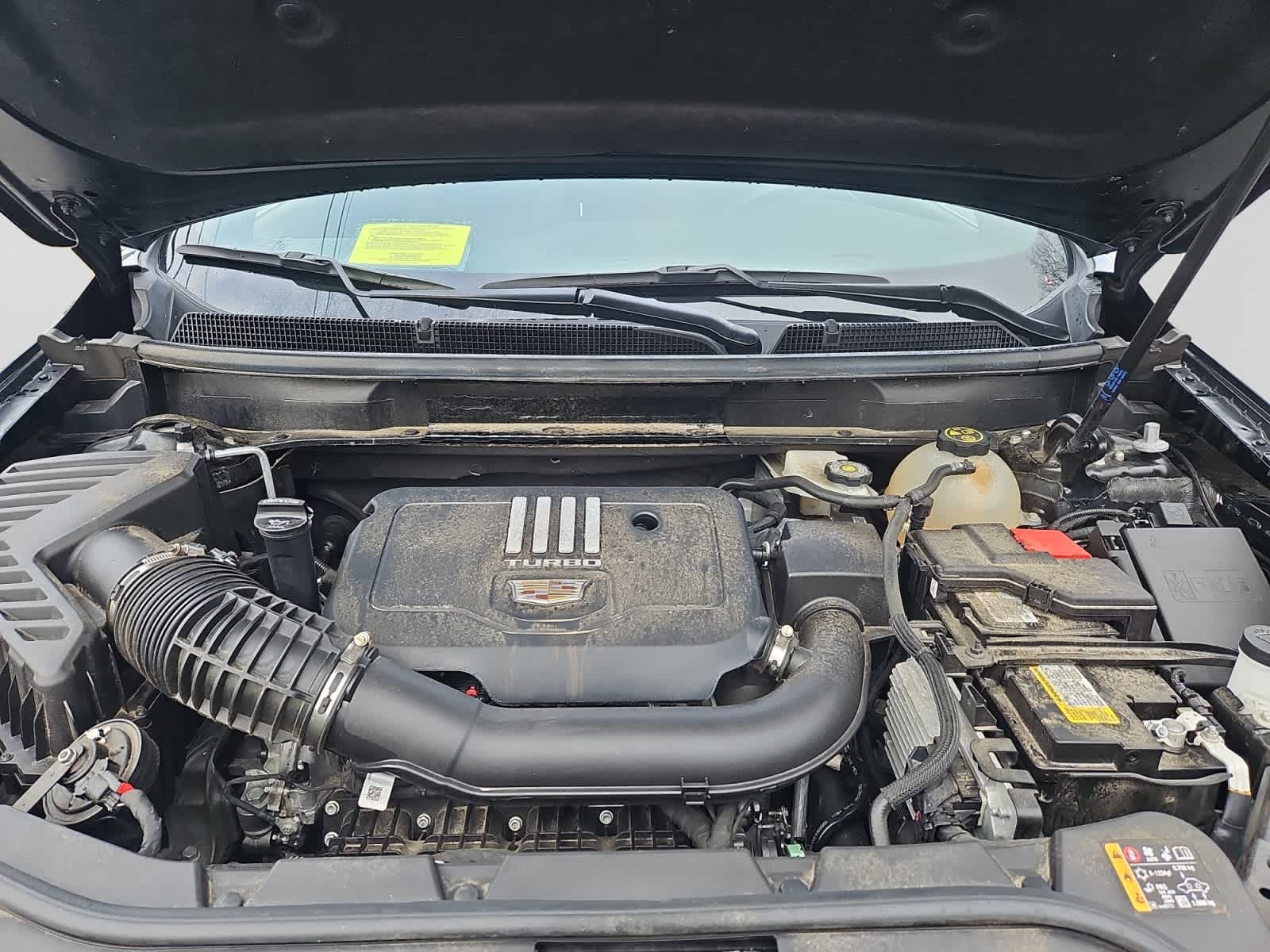 used 2023 Cadillac XT5 car, priced at $32,687