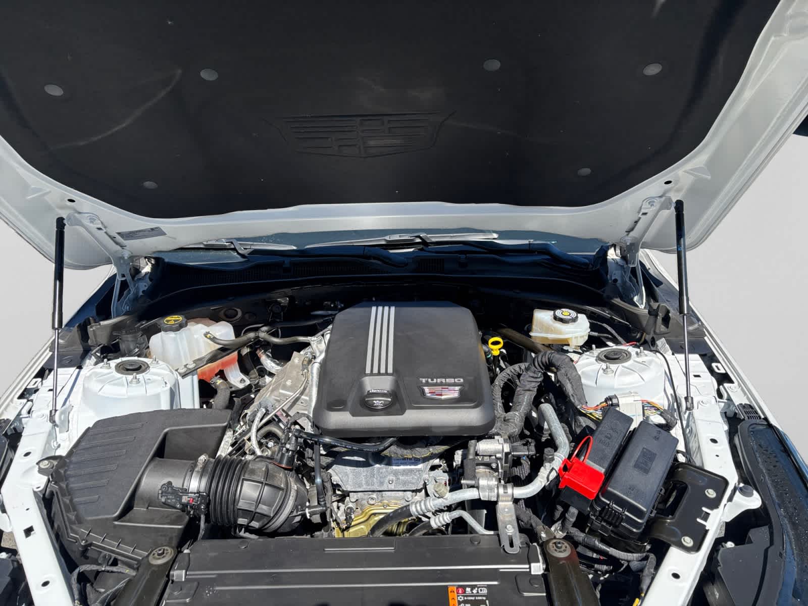 used 2025 Cadillac CT4 car, priced at $42,187