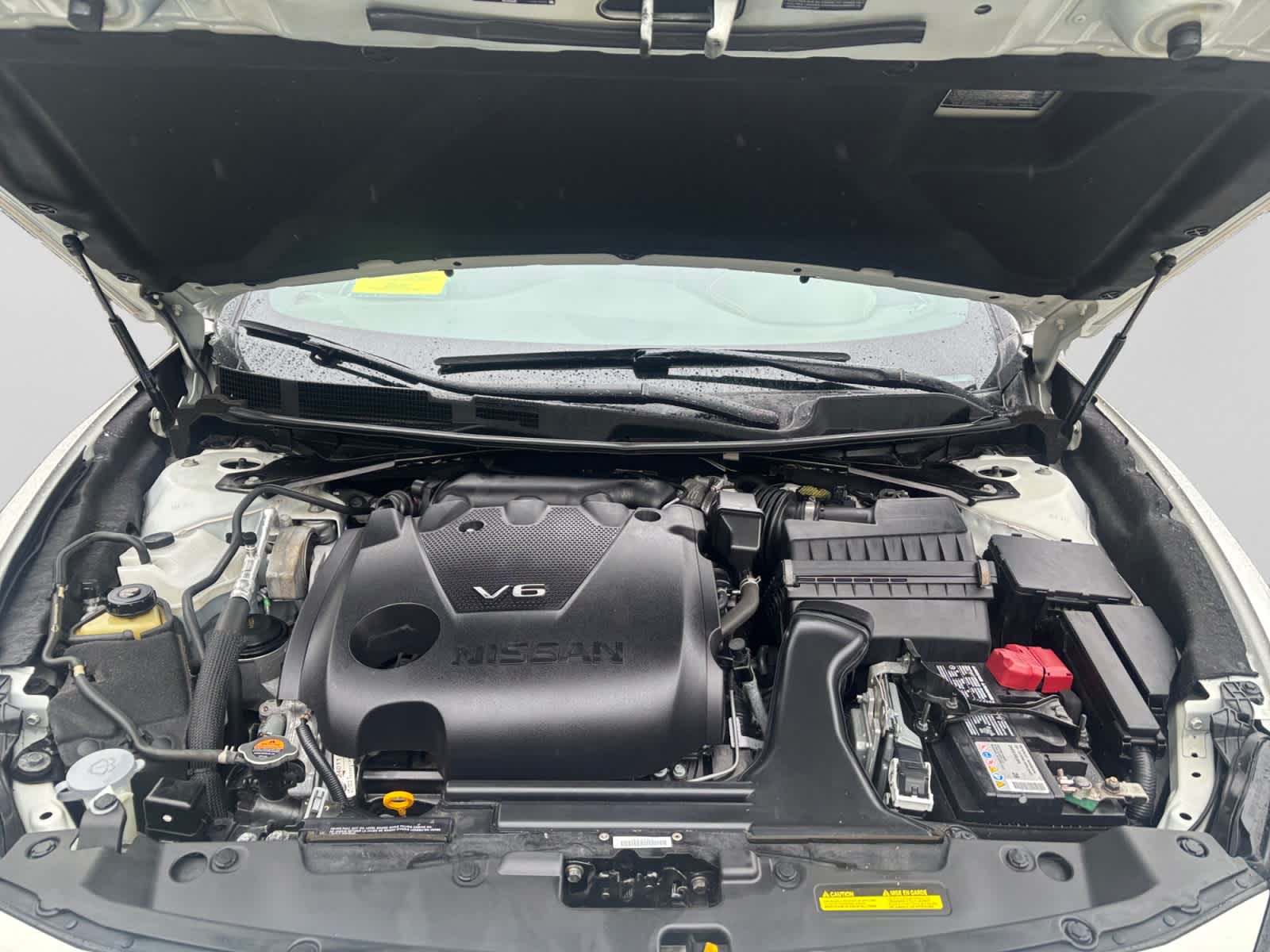 used 2021 Nissan Maxima car, priced at $21,987