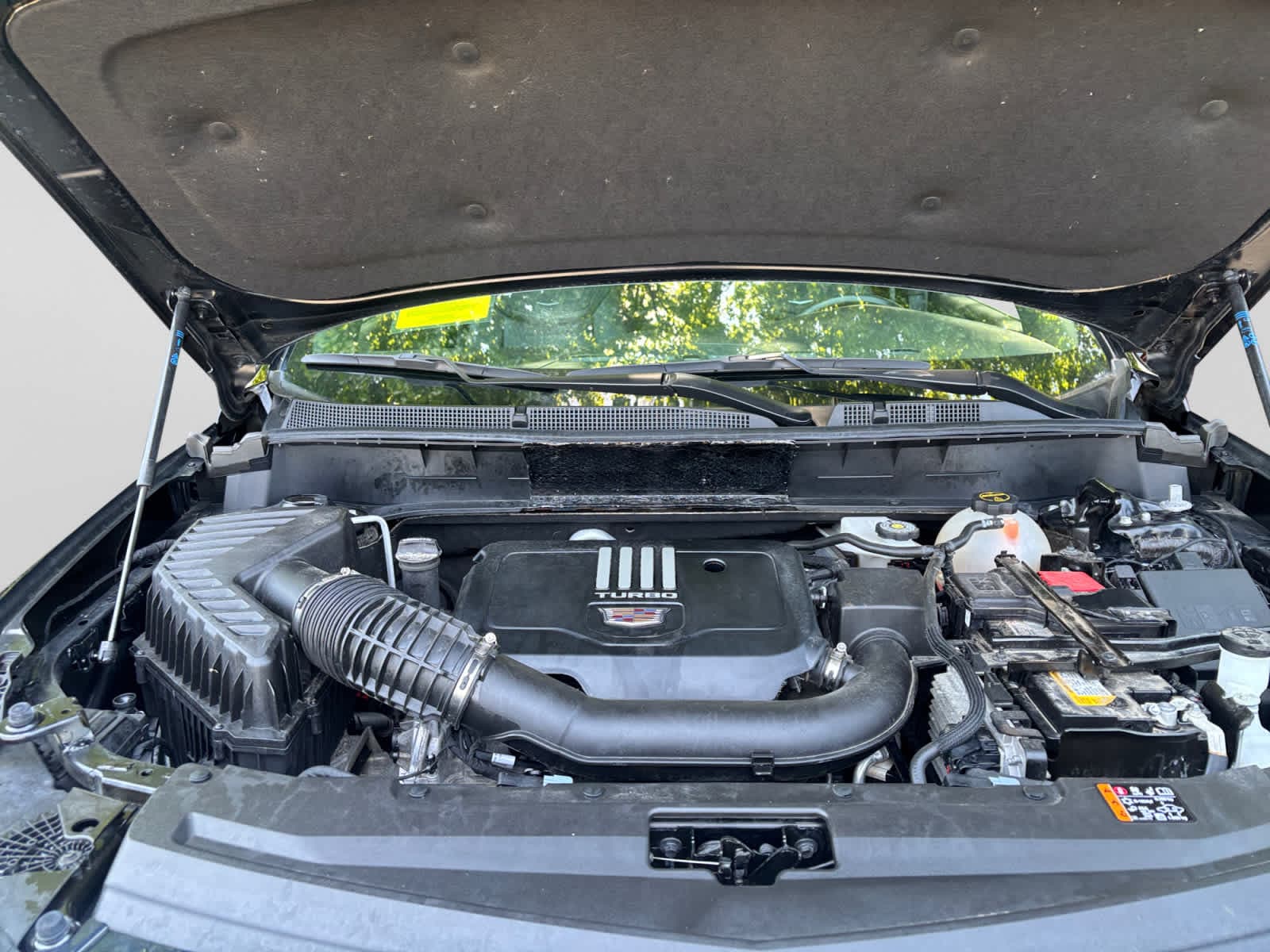 used 2024 Cadillac XT6 car, priced at $43,387