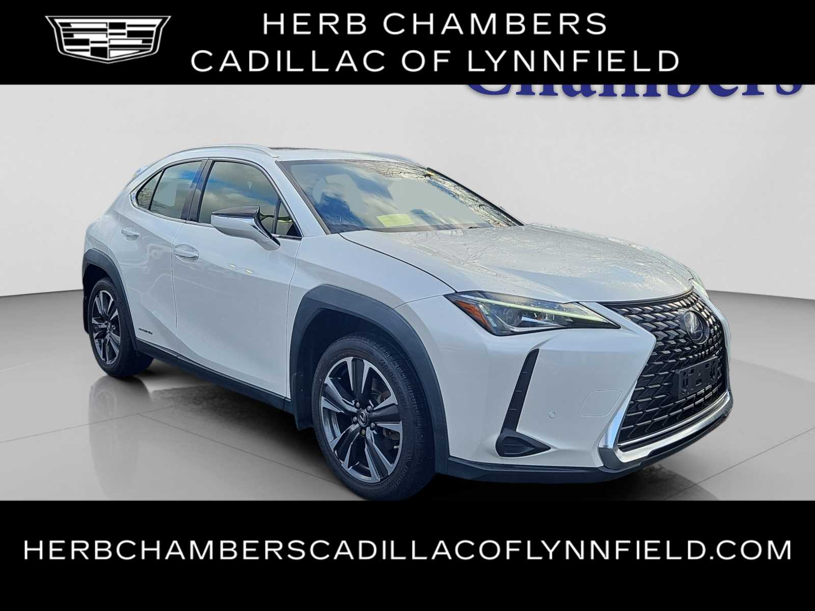 2020 Lexus UX Hybrid 250h's photo