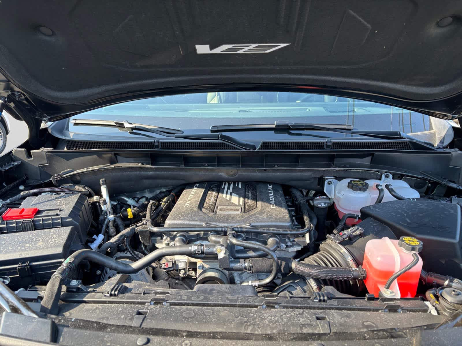 used 2026 Cadillac Escalade car, priced at $185,497