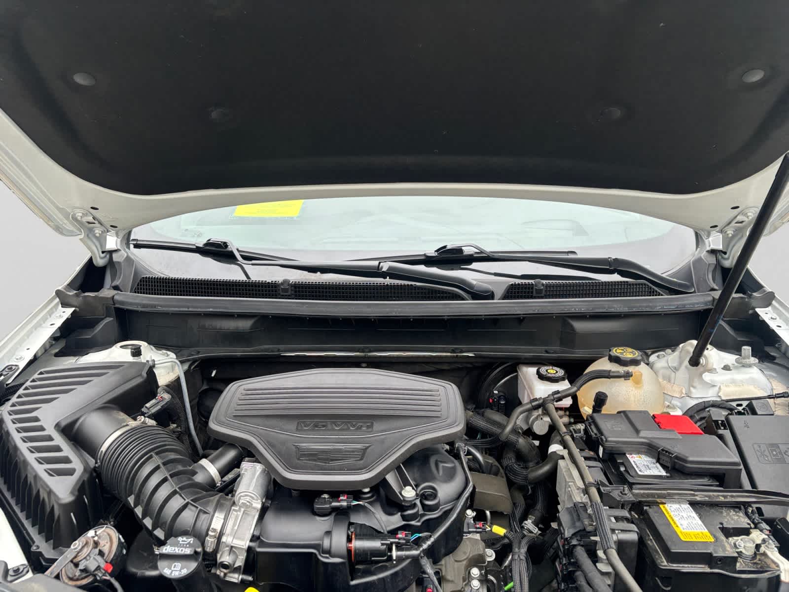 used 2023 Cadillac XT5 car, priced at $35,387