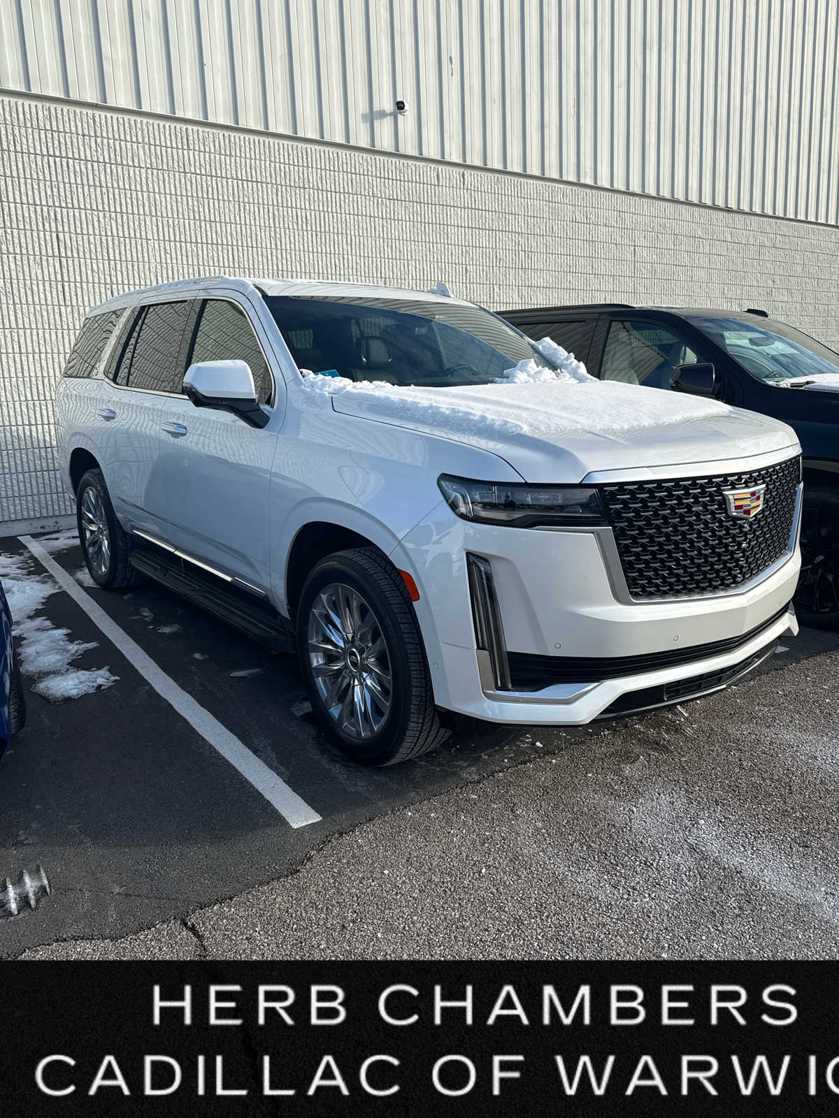 2023 Cadillac Escalade Premium Luxury's photo