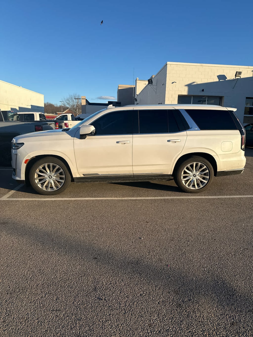 Used 2021 CADILLAC Escalade Premium Luxury SUV
