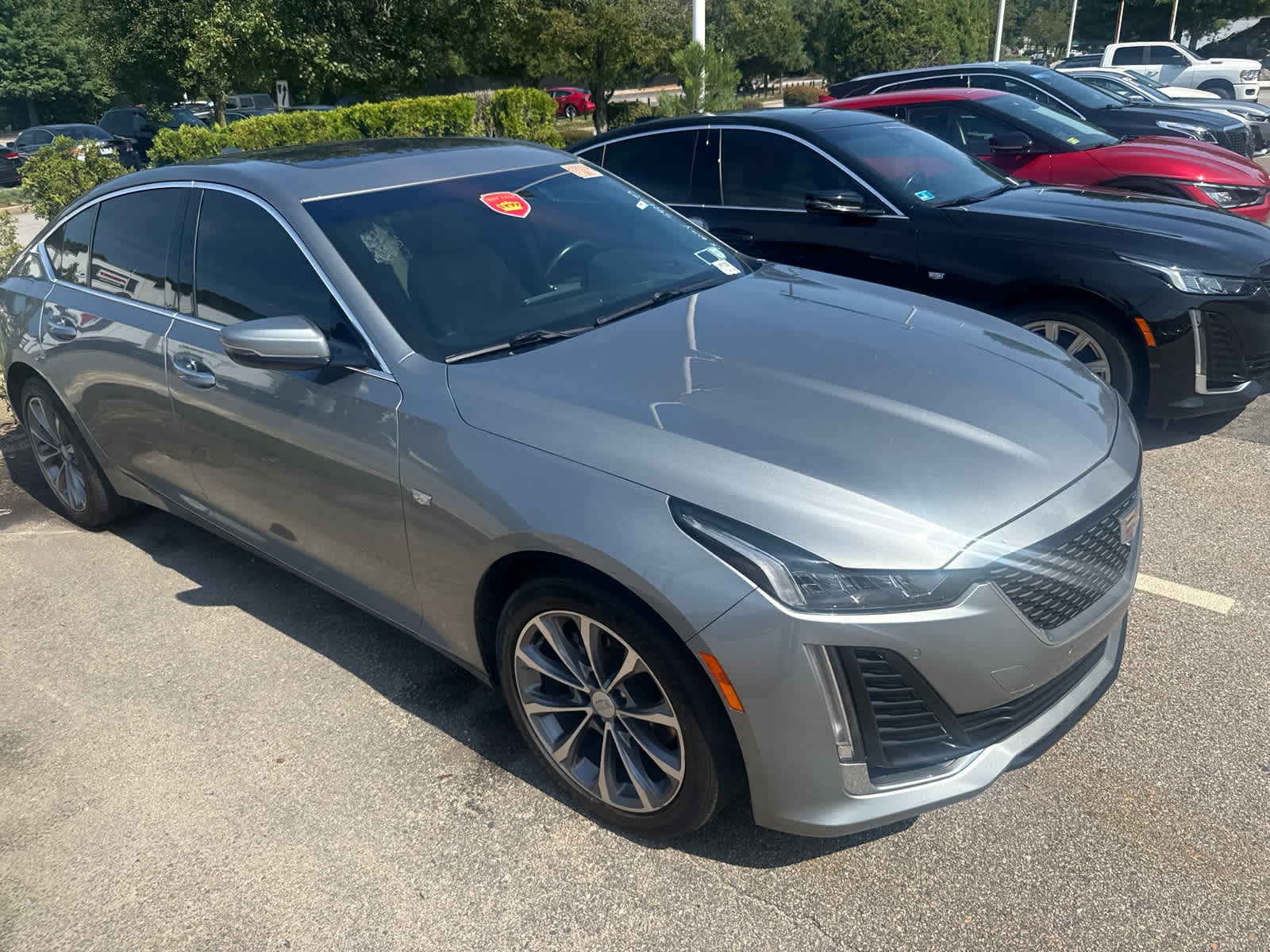 Photo 18
