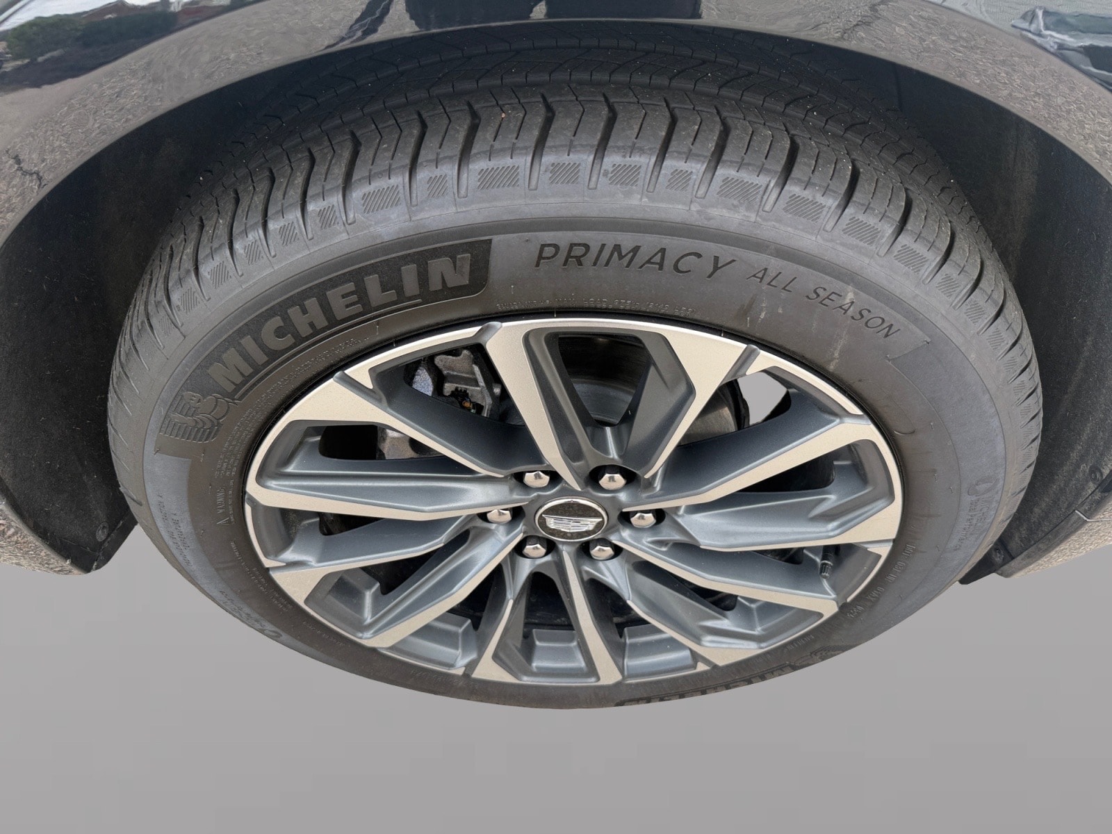 2025 Cadillac LYRIQ Sport 1 - Photo 8