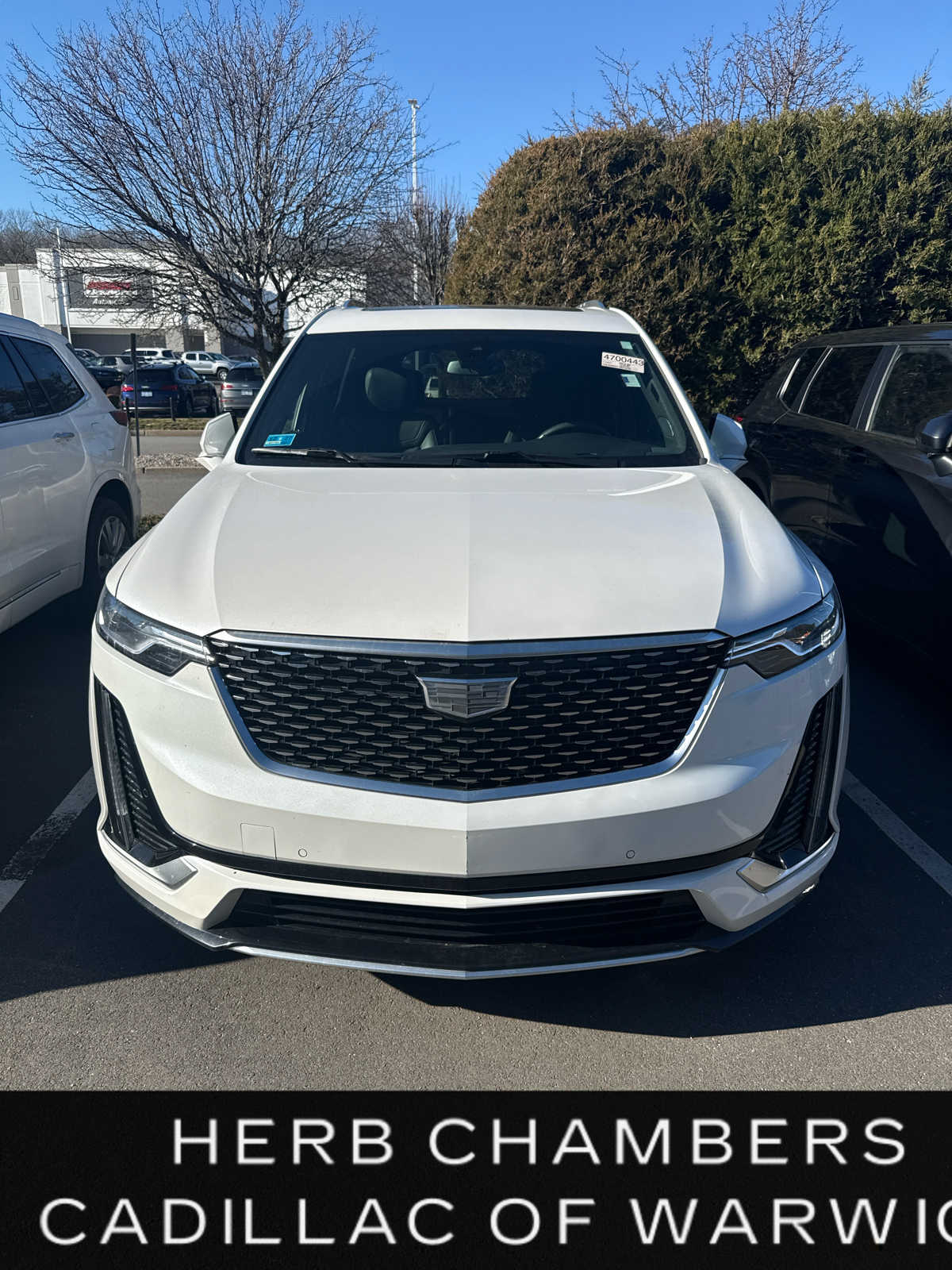 2024 Cadillac XT6 Premium Luxury's photo