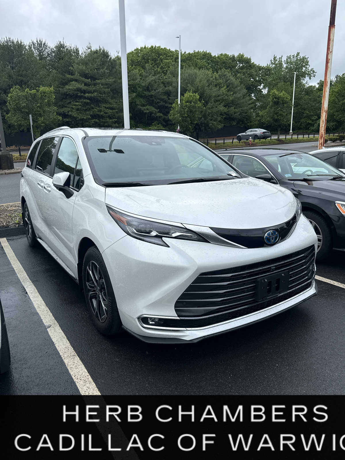 2025 Toyota Sienna Platinum 7-Passenger Hybrid AWD's photo