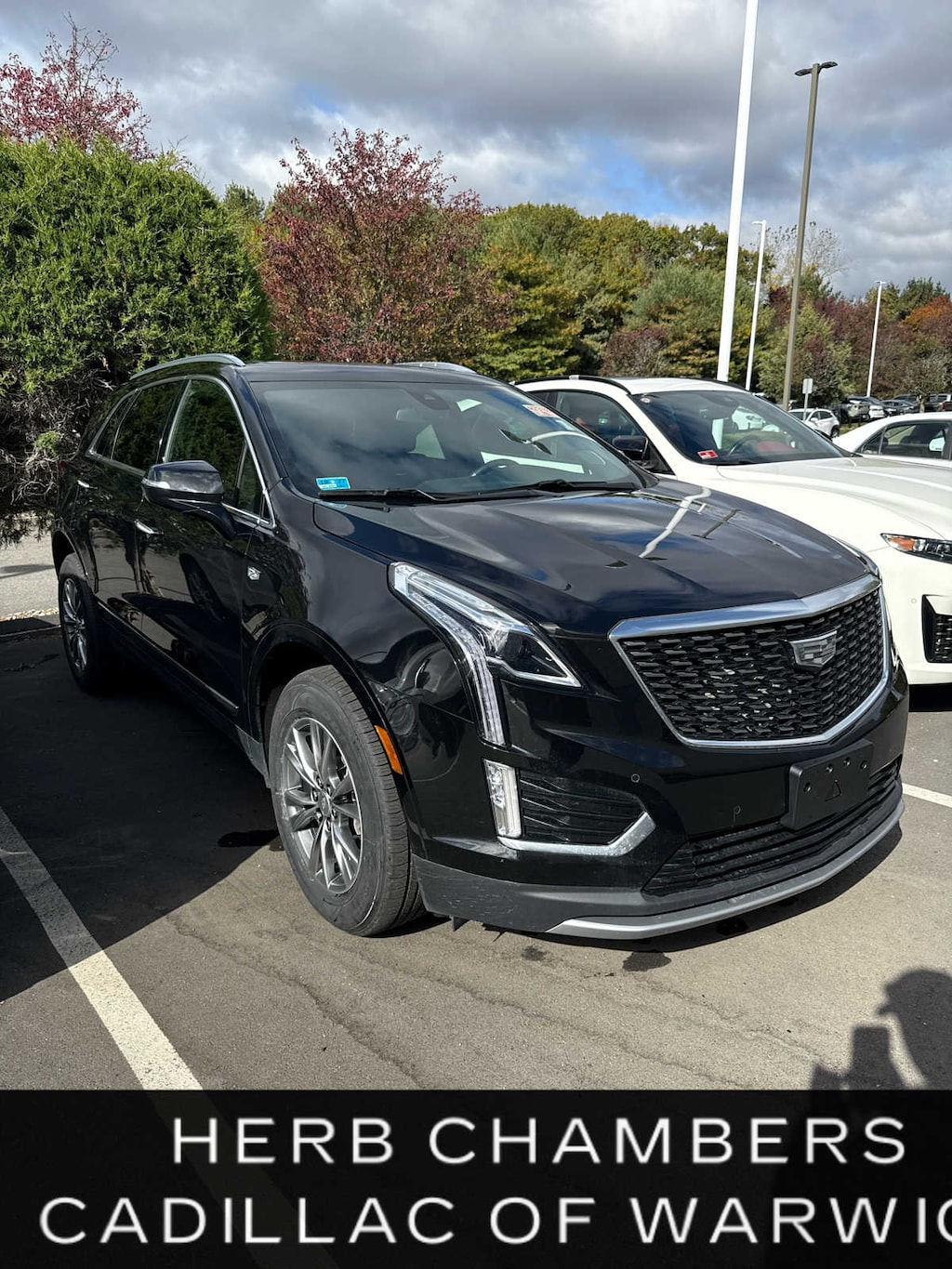 Used 2022 CADILLAC XT5 Premium Luxury SUV