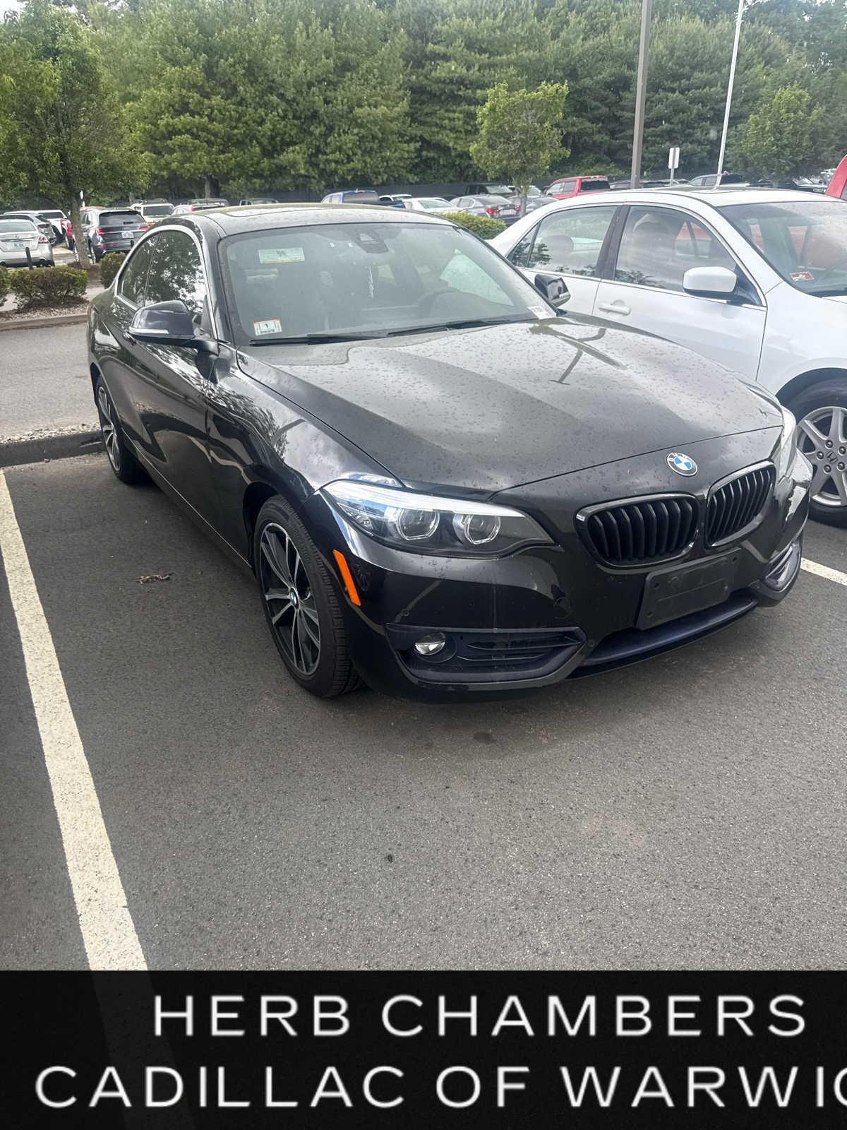 2020 BMW 2 Series 230i xDrive Coupe's photo