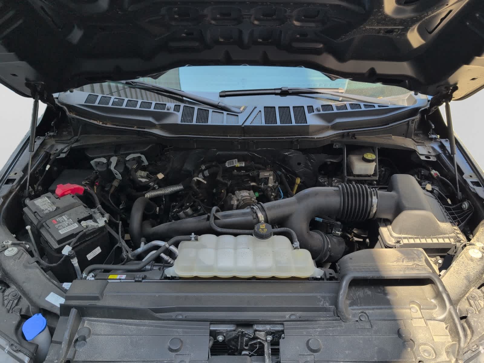 used 2023 Ford F-150 car, priced at $37,097