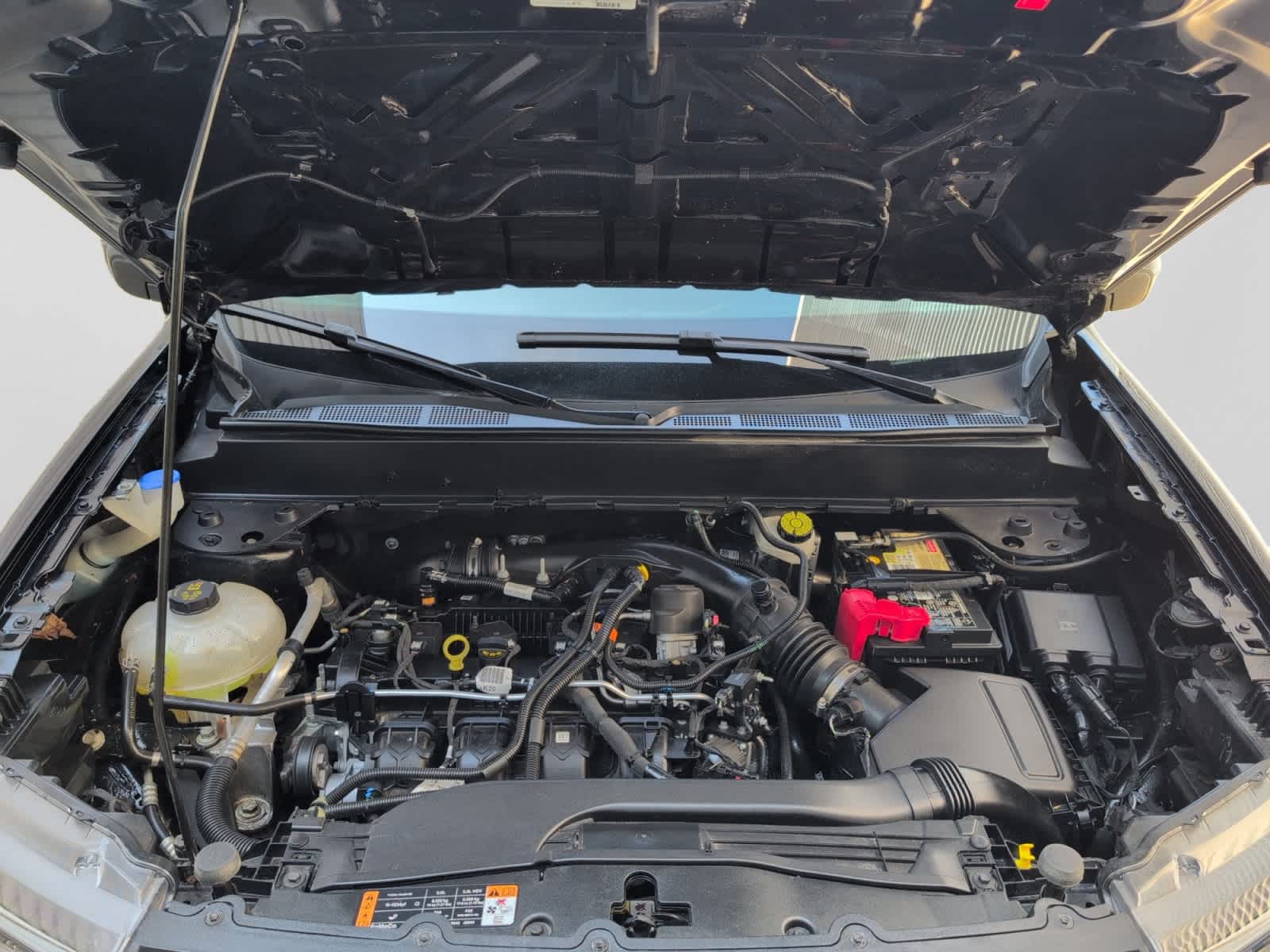 used 2024 Ford Maverick car