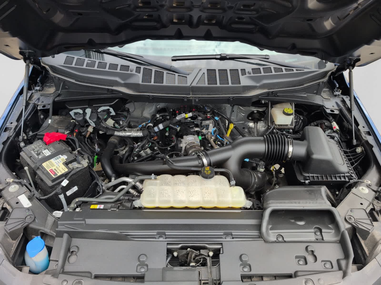 used 2024 Ford F-150 car