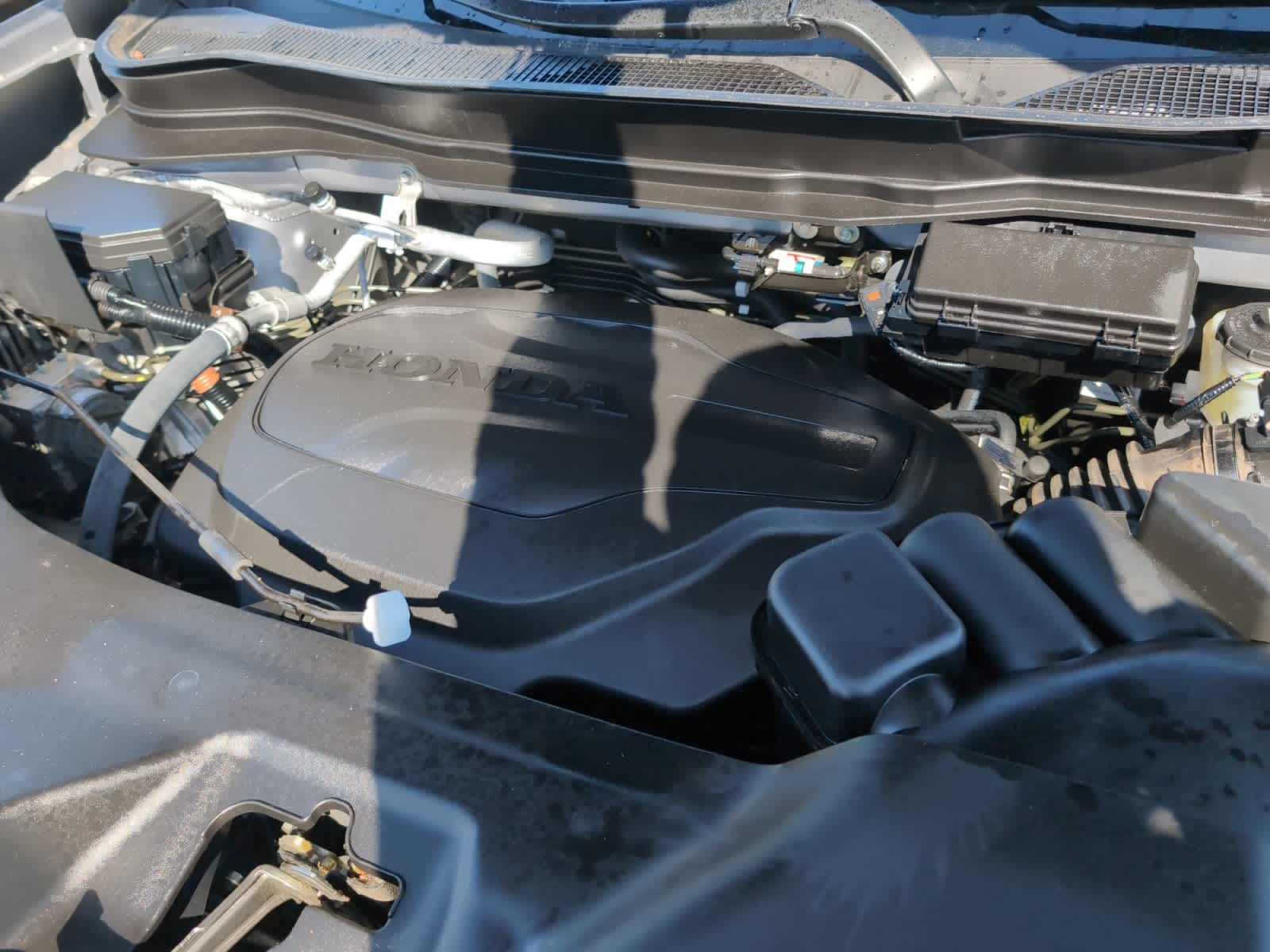 used 2023 Honda Passport car, priced at $33,840
