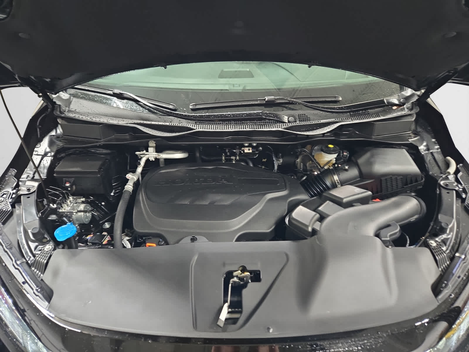 new 2026 Honda Odyssey car