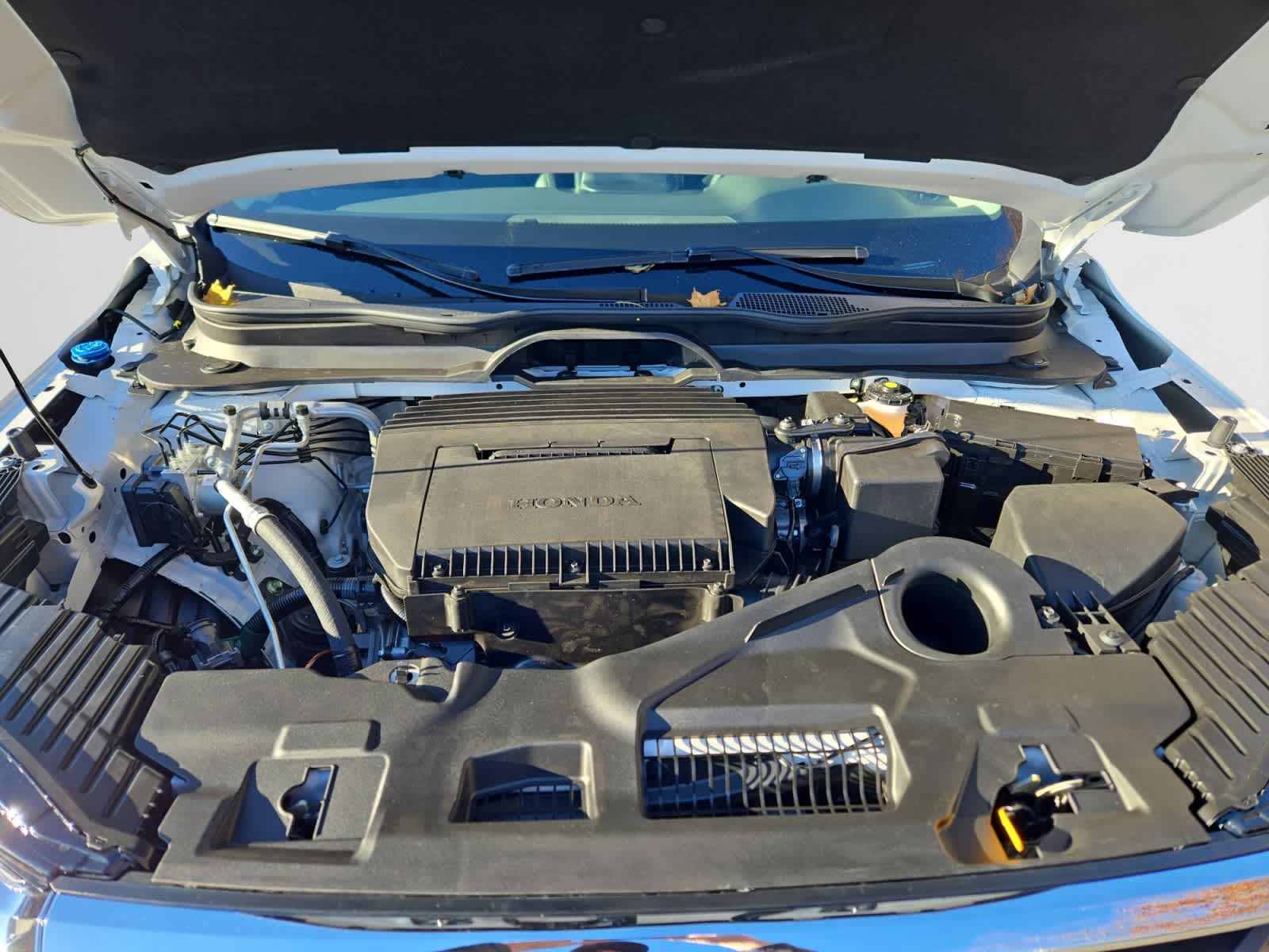 new 2025 Honda Pilot car