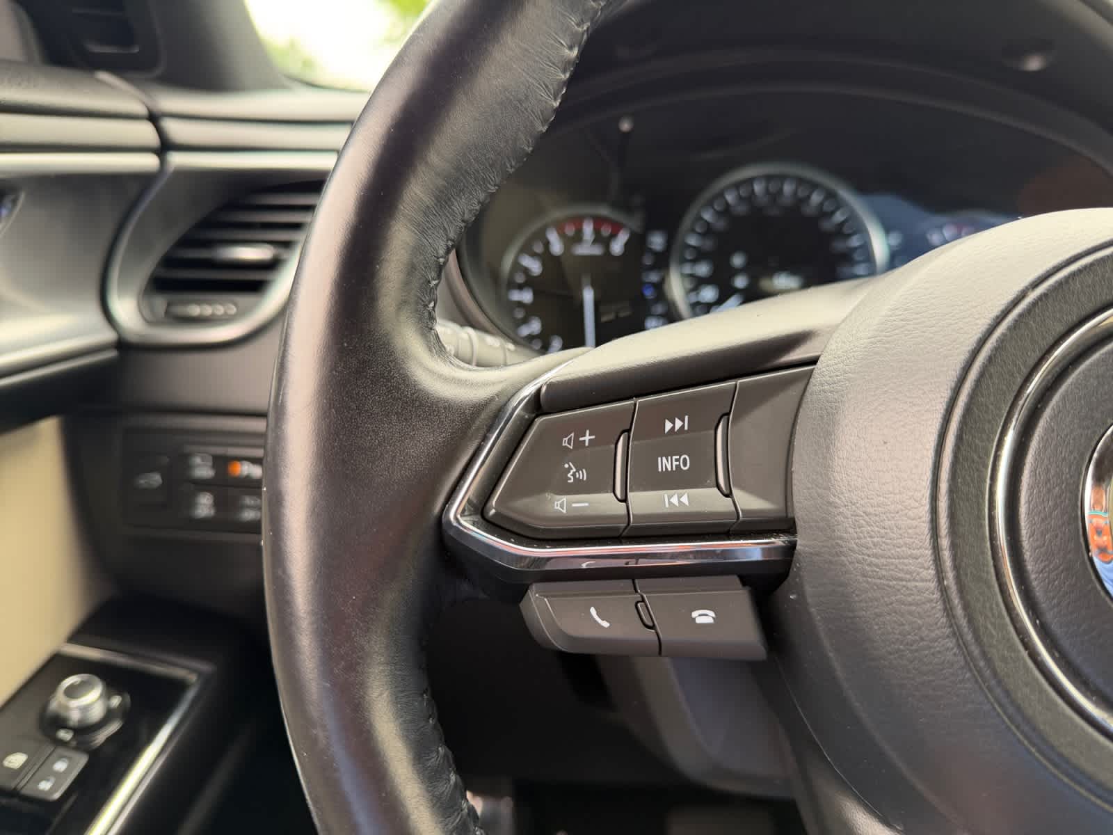 2019 Mazda CX-9 22