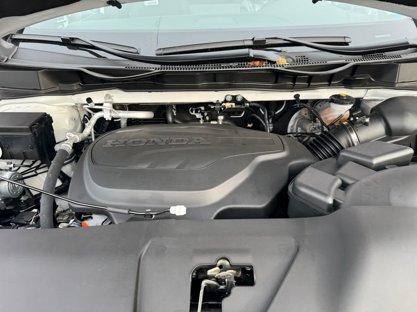2026 Honda Odyssey Sport L - Photo 7