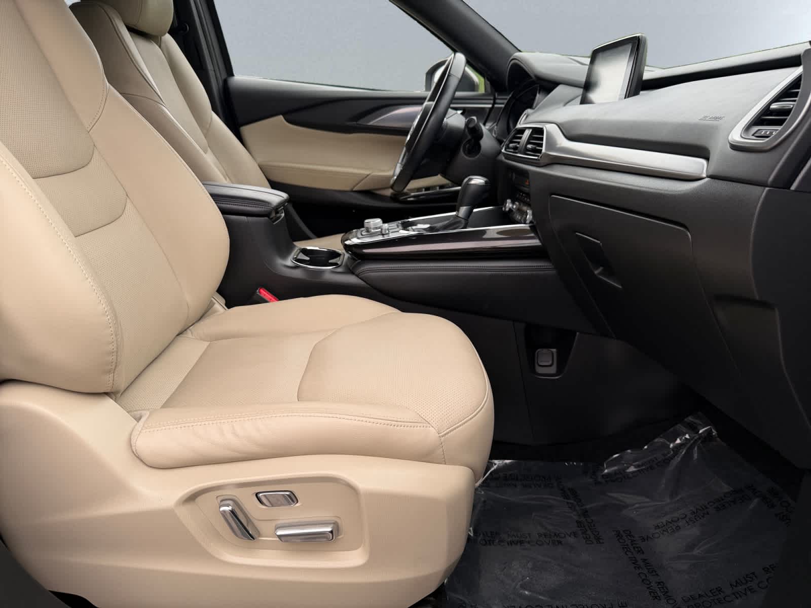 2019 Mazda CX-9 20