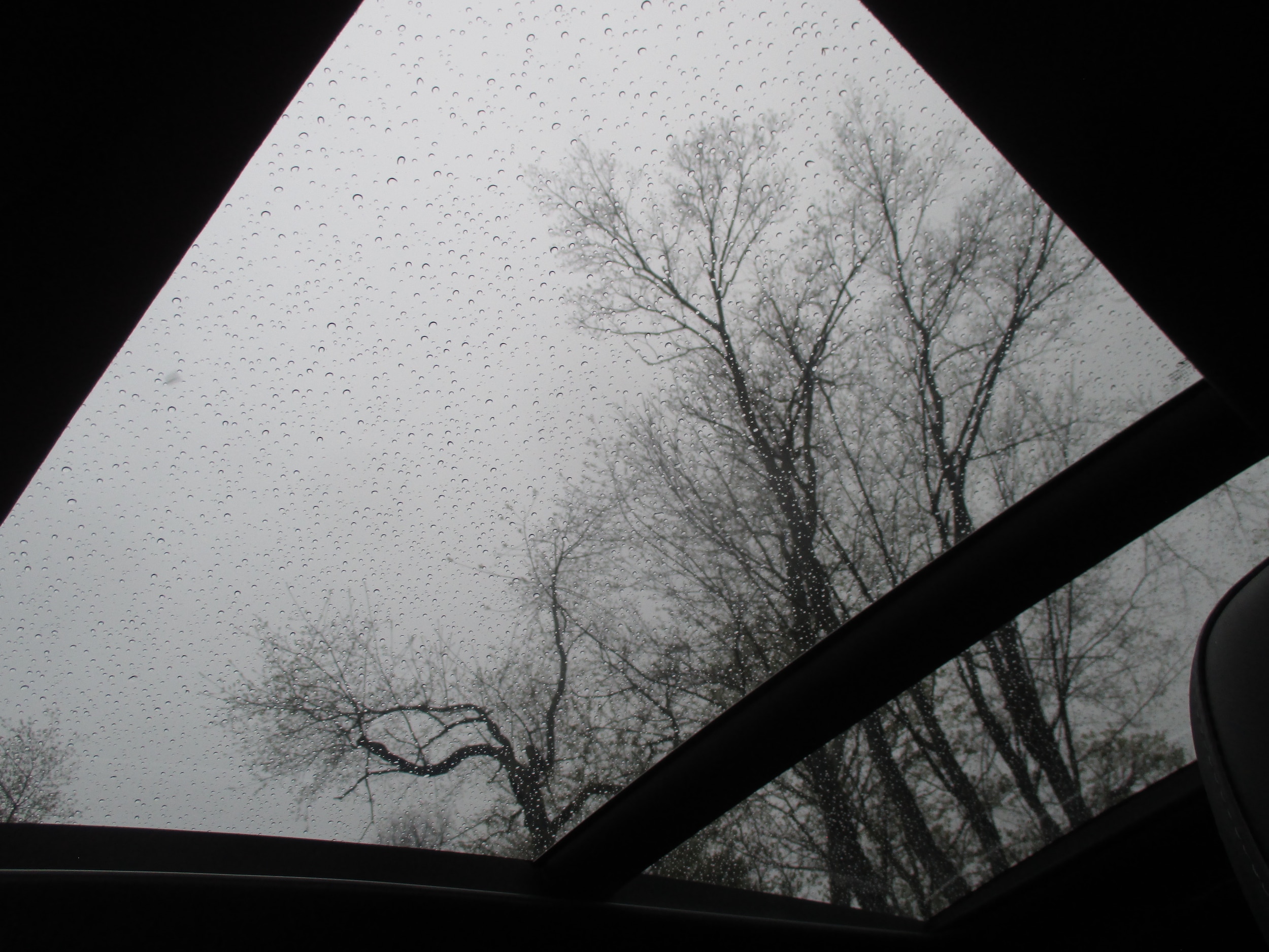 View 44