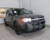 New 2026 Hyundai Santa Fe Hybrid Calligraphy SUV