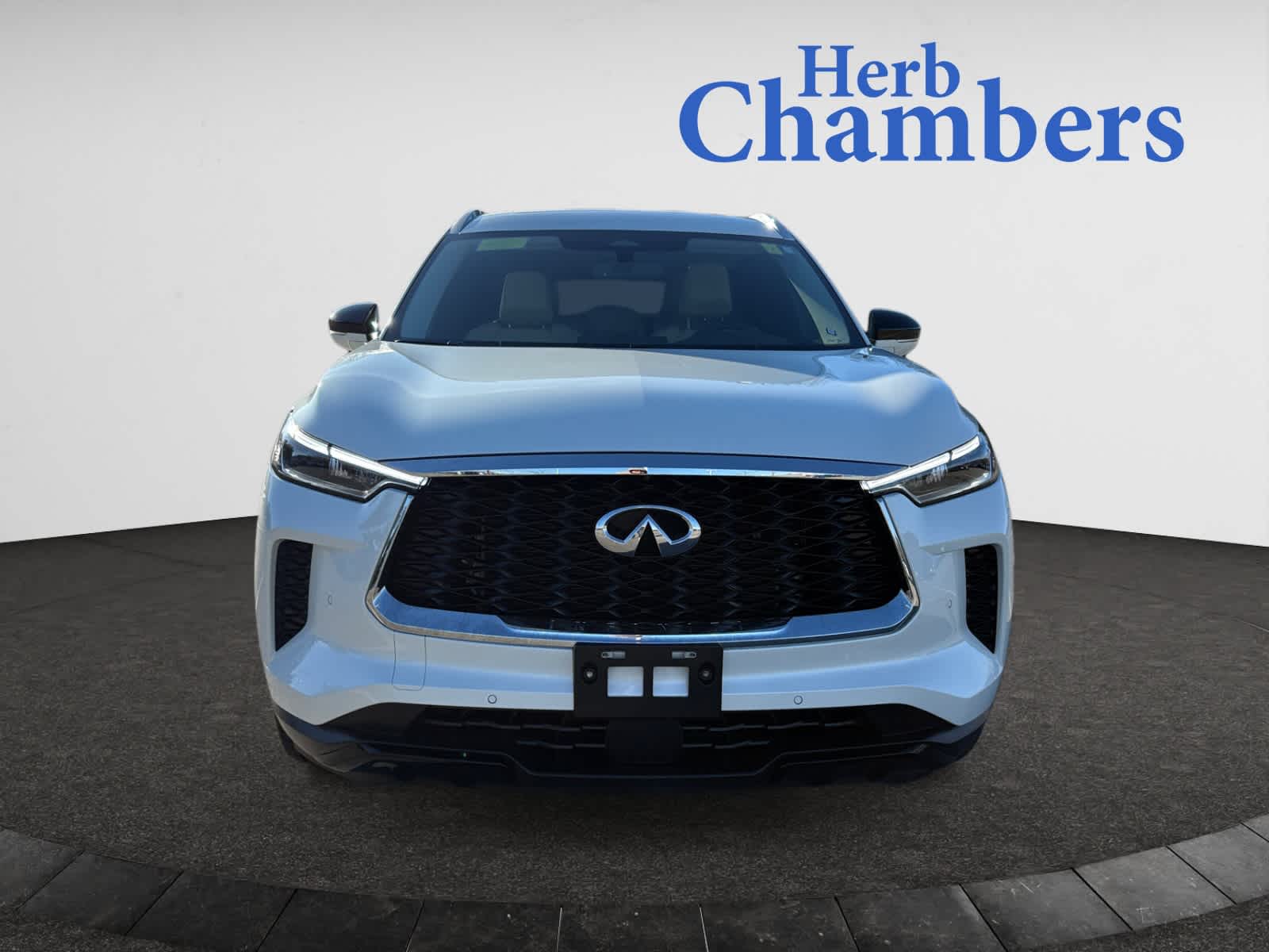 2023 Infiniti QX60 Luxe photo 2