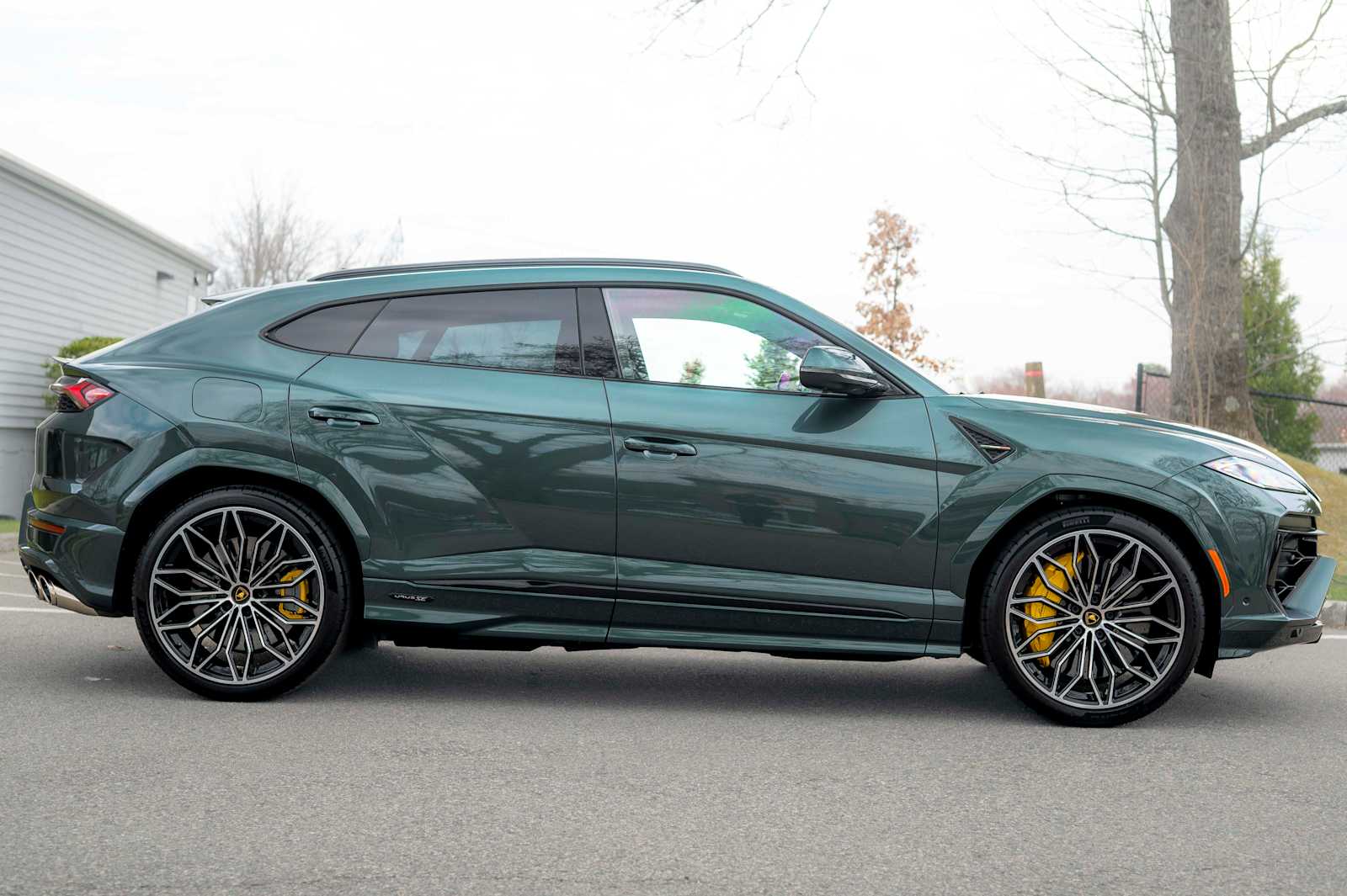 2025 Lamborghini Urus SE - Photo 9