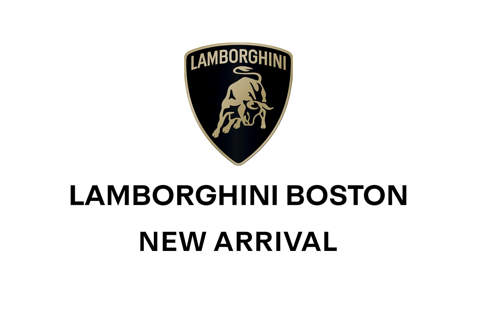 used 2024 Lamborghini Urus car, priced at $267,988