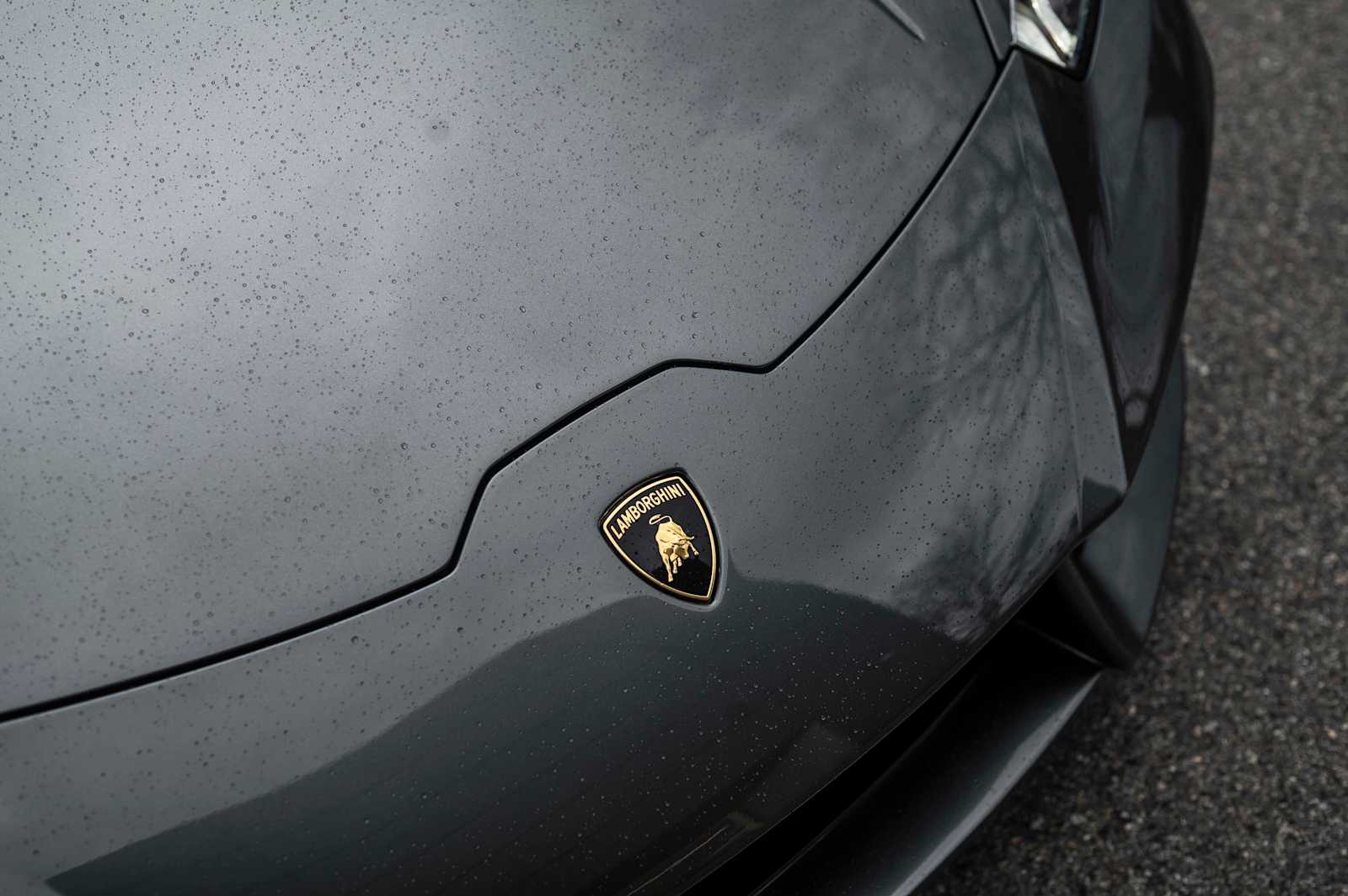 used 2017 Lamborghini Huracan car, priced at $218,788