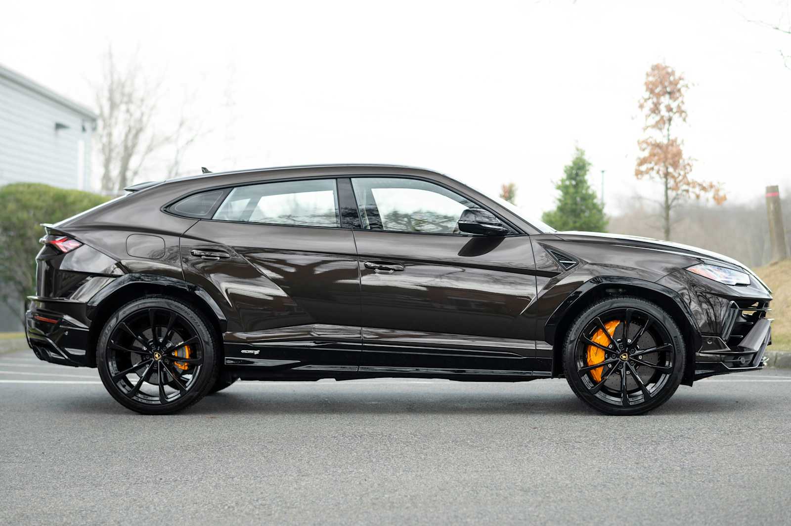 used 2024 Lamborghini Urus car, priced at $256,877