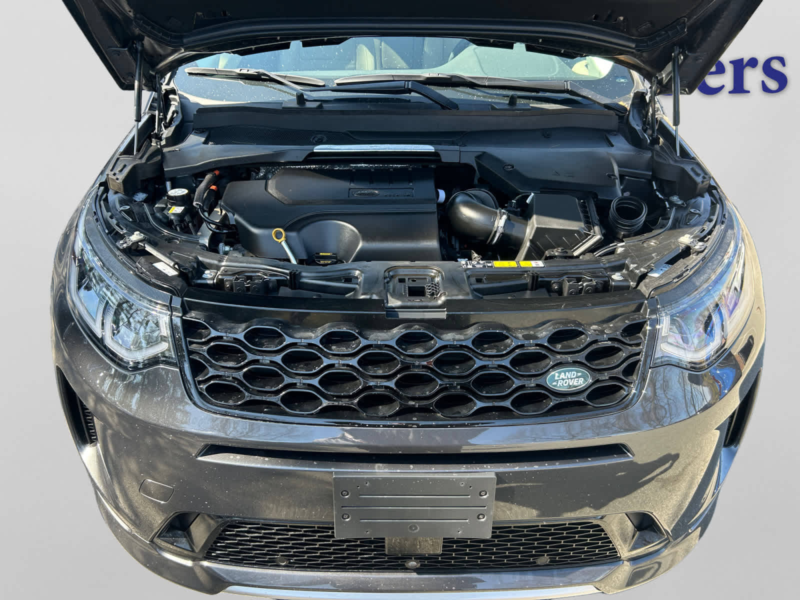 used 2025 Land Rover Discovery Sport car, priced at $37,500