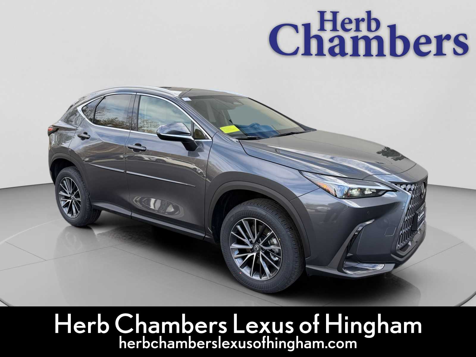 2026 Lexus NX Base's photo