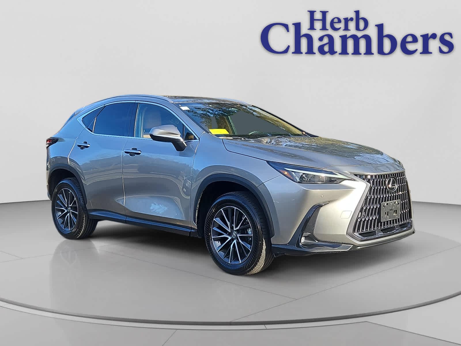 2023 Lexus NX 350's photo