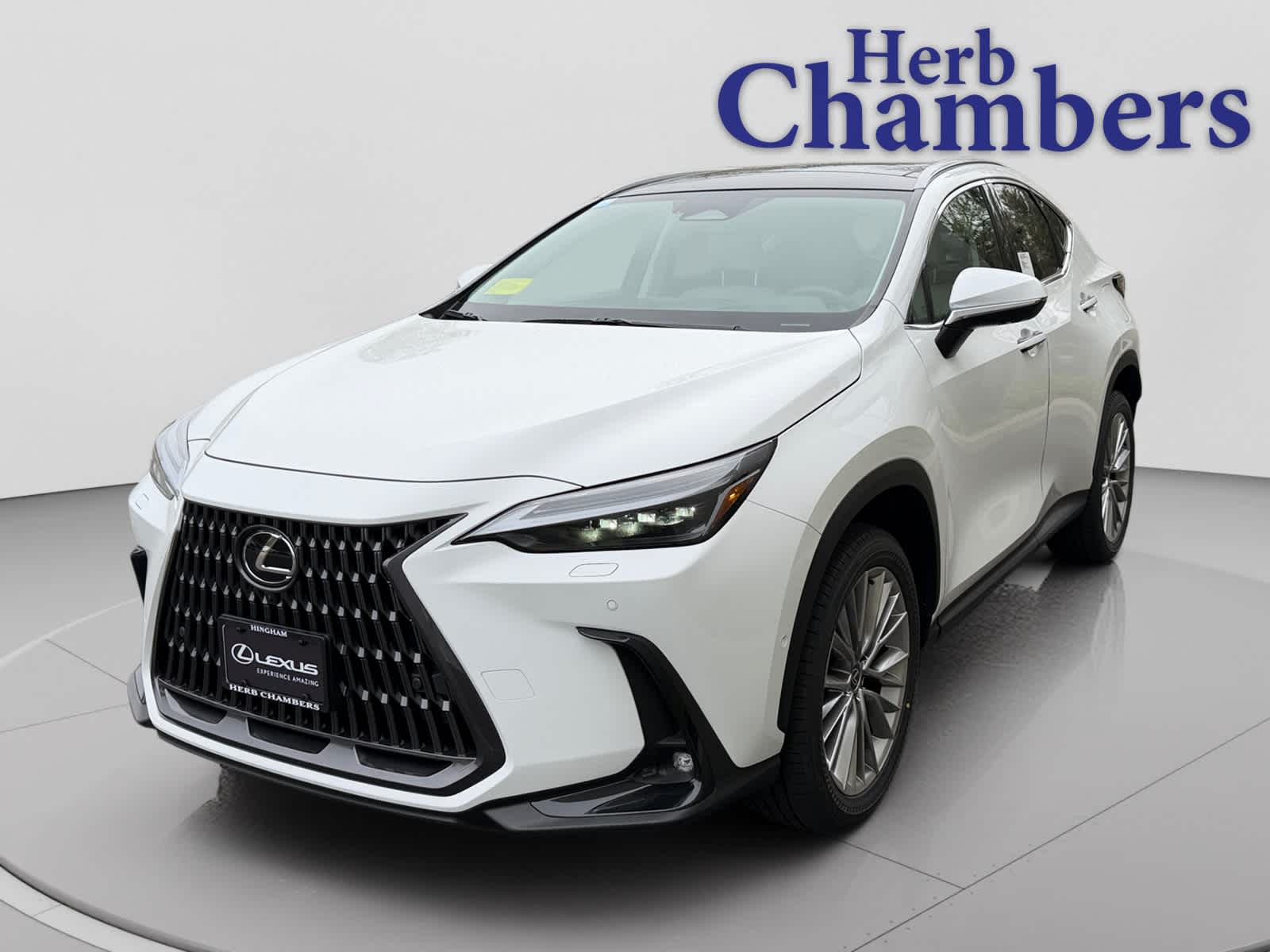 new 2026 Lexus NX 350 car