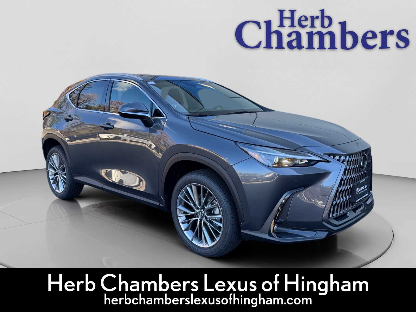 2026 Lexus NX Gris (Cloudburst Gray) SUV/Crossover Tracción en las cuatro ruedas Automática