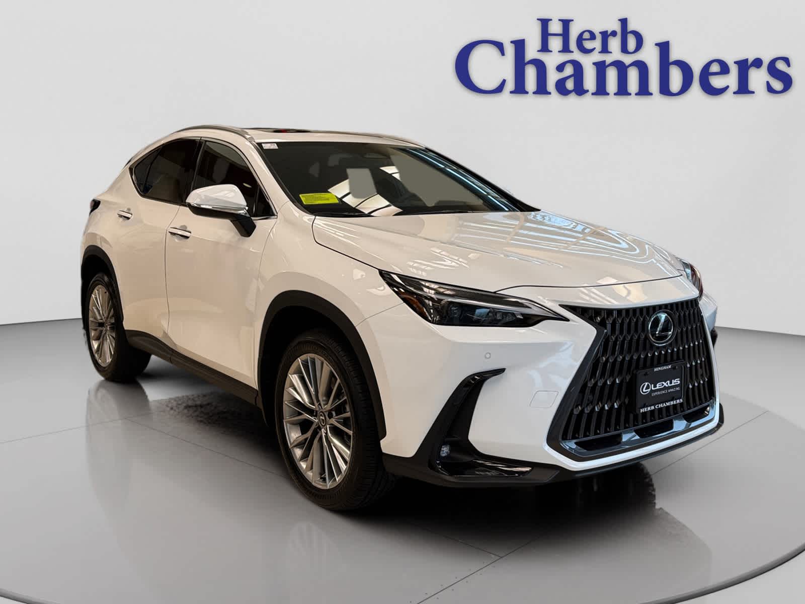 2026 Lexus NX 350's photo