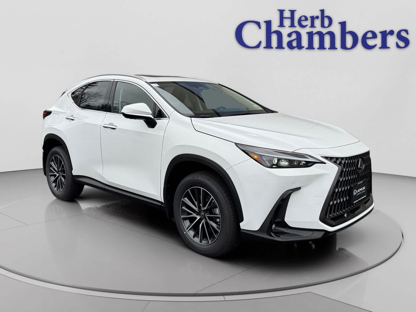 2026 Lexus NX PHEV 450h+'s photo